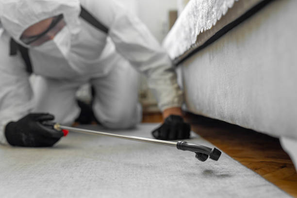 Professional Cockroach Control technician working in Grosse Pointe Farms, MI