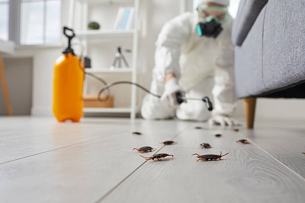 Trusted Cockroach Control service in Grosse Pointe Farms, MI - Nex Pest Control