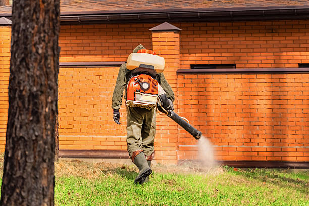 Trusted Rodent Control service in Grosse Pointe Farms, MI - Nex Pest Control